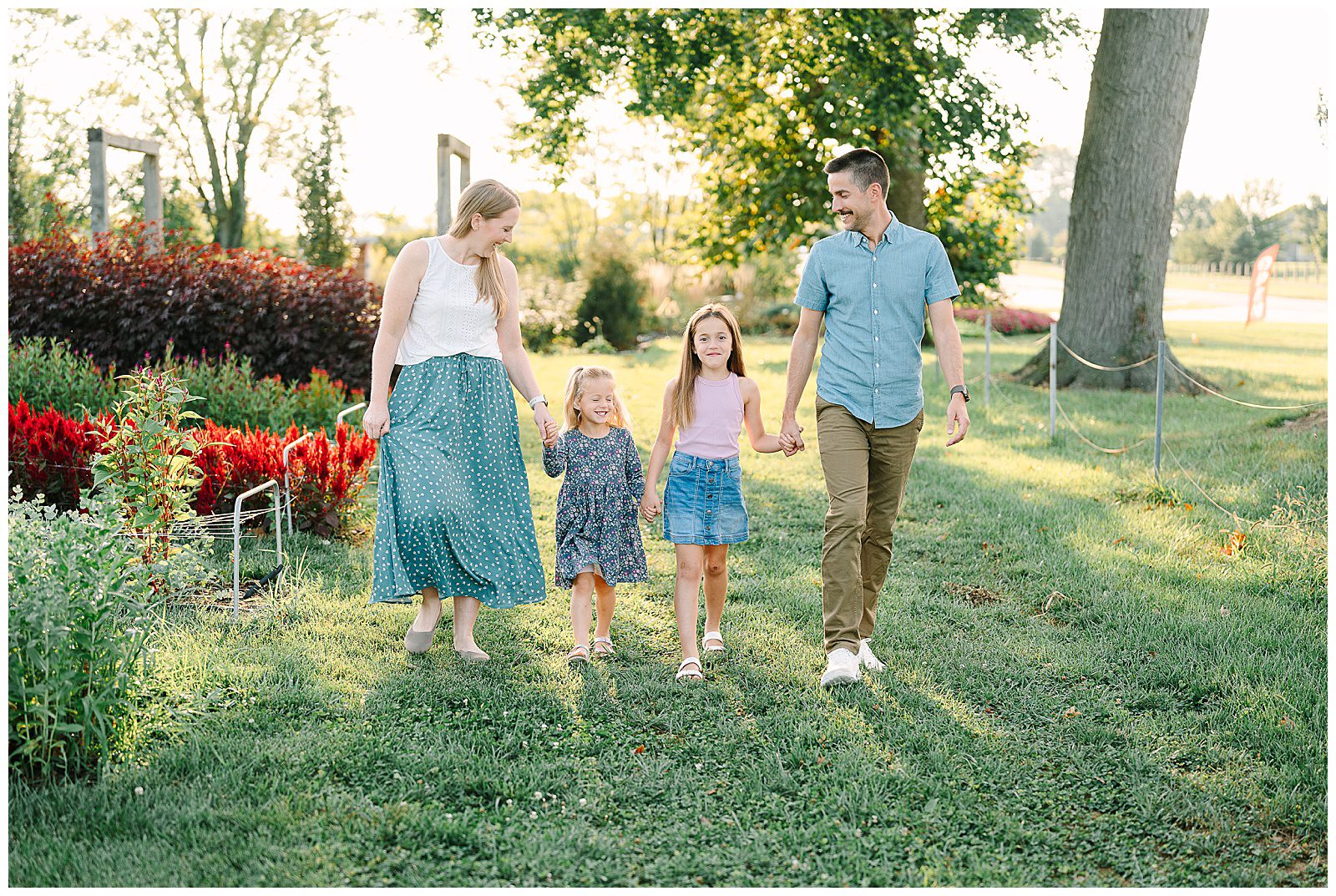 Flower Farm Minis walking